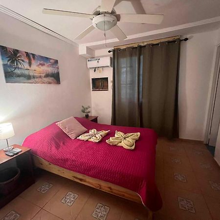 Hotel Tierra Verde Bed And Breakfast Bocas Town Bagian luar foto