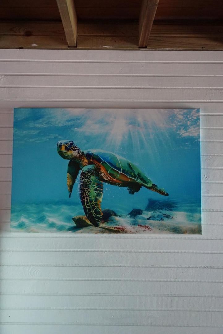 Hotel Tierra Verde Bed And Breakfast Bocas Town Bagian luar foto