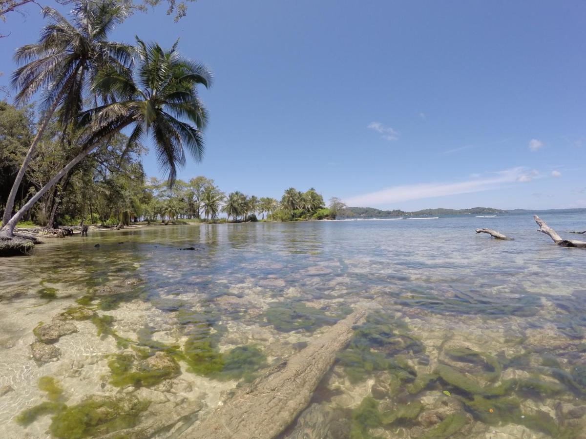 Hotel Tierra Verde Bed And Breakfast Bocas Town Bagian luar foto